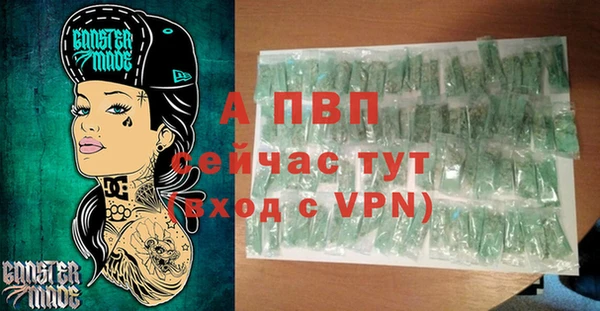 сатива Елизово