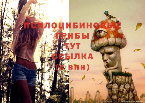кокаин VHQ Тавда
