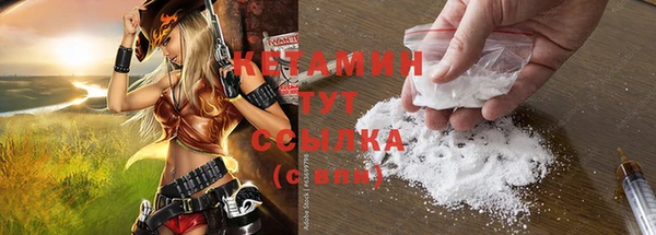 сатива Елизово