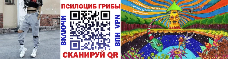 купить наркоту  даркнет Telegram  mega ссылки  Псилоцибиновые грибы мицелий  Лихославль 